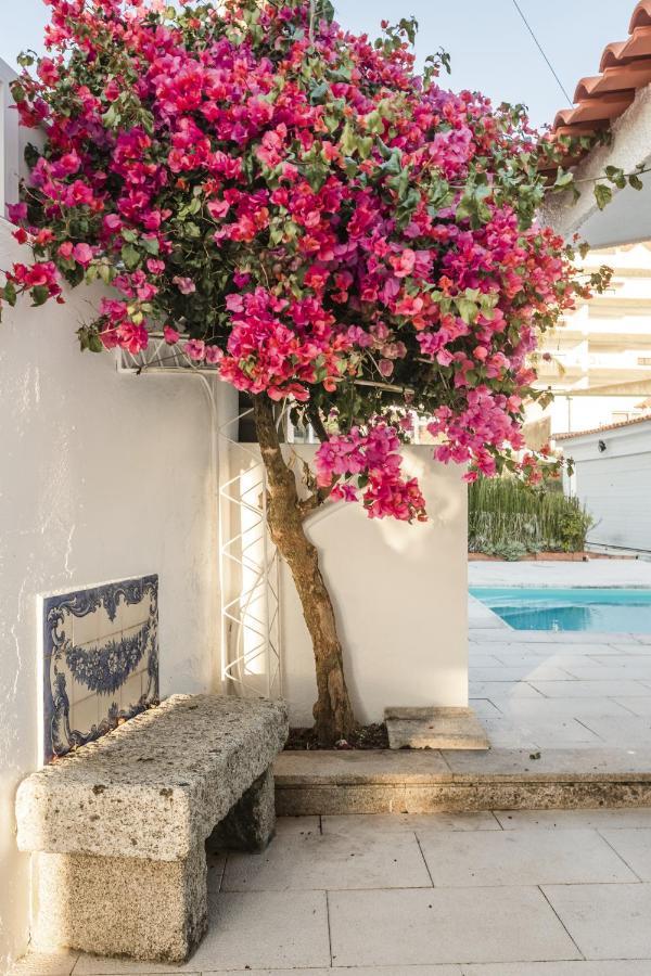 Casa De Ancora Villa Vila Praia de Âncora Dış mekan fotoğraf